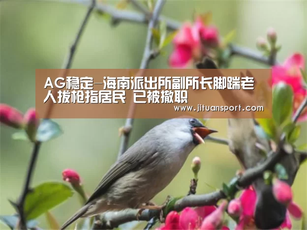 AG稳定-海南派出所副所长脚踹老人拔枪指居民 已被撤职(图2) AG集团