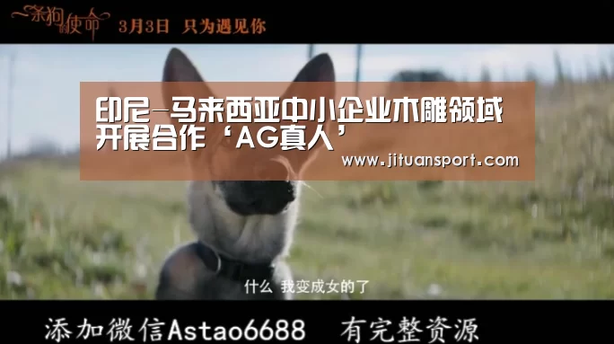 AG稳定